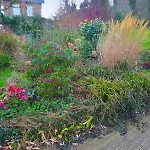 Camembert & Crustaces