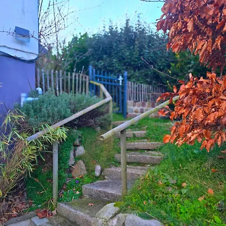 Camembert & Crustaces