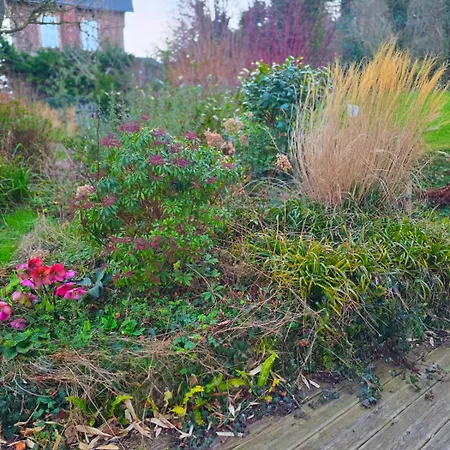 Camembert & Crustaces