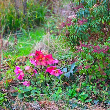 Dom wakacyjny Camembert & Crustaces *