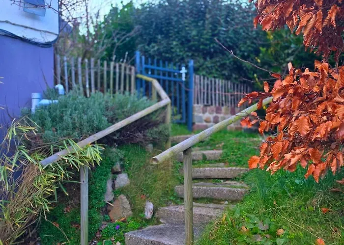 Camembert&crustacés