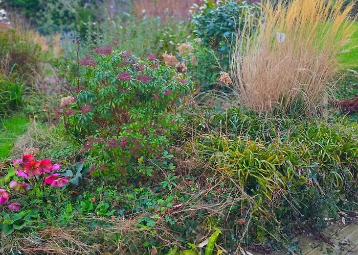 Camembert&crustacés