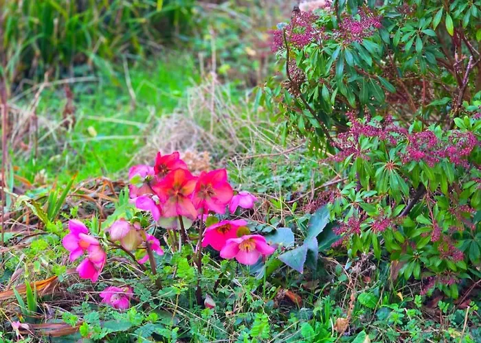 Holiday home Camembert & Crustaces *